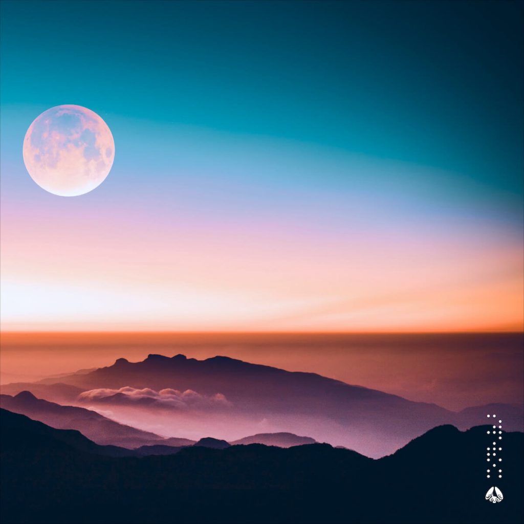 Under The Moonlight - Stereofox Label