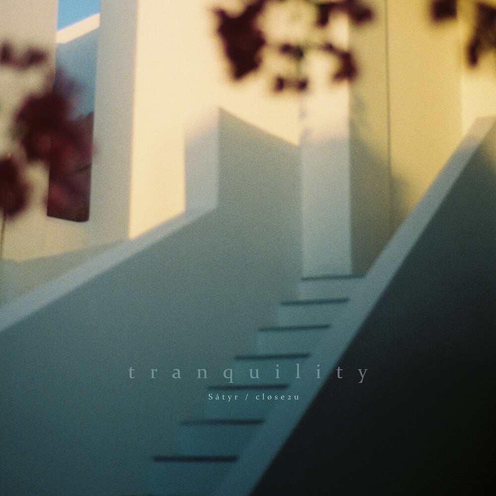 Tranquility - Stereofox Label