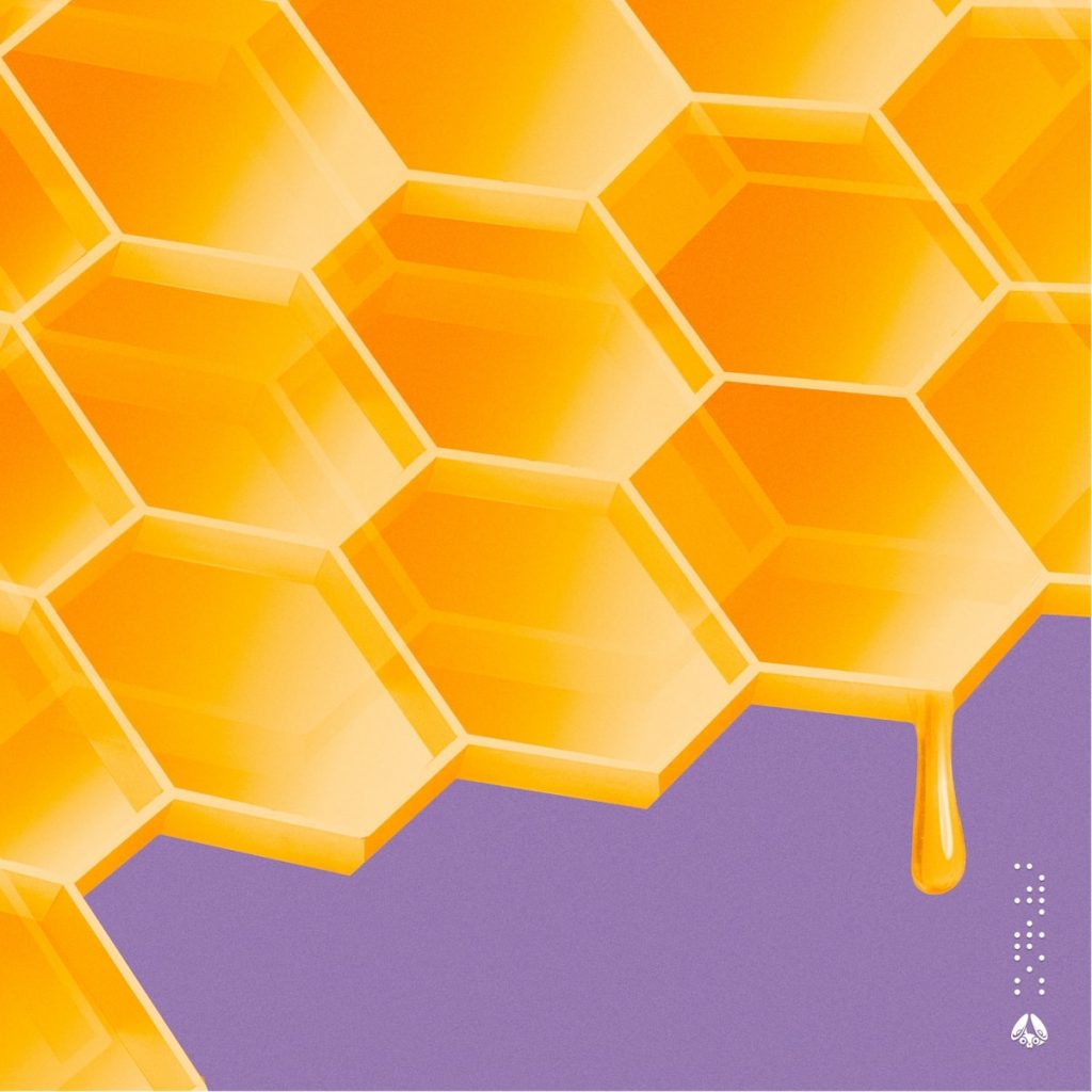 Honey - Stereofox Label