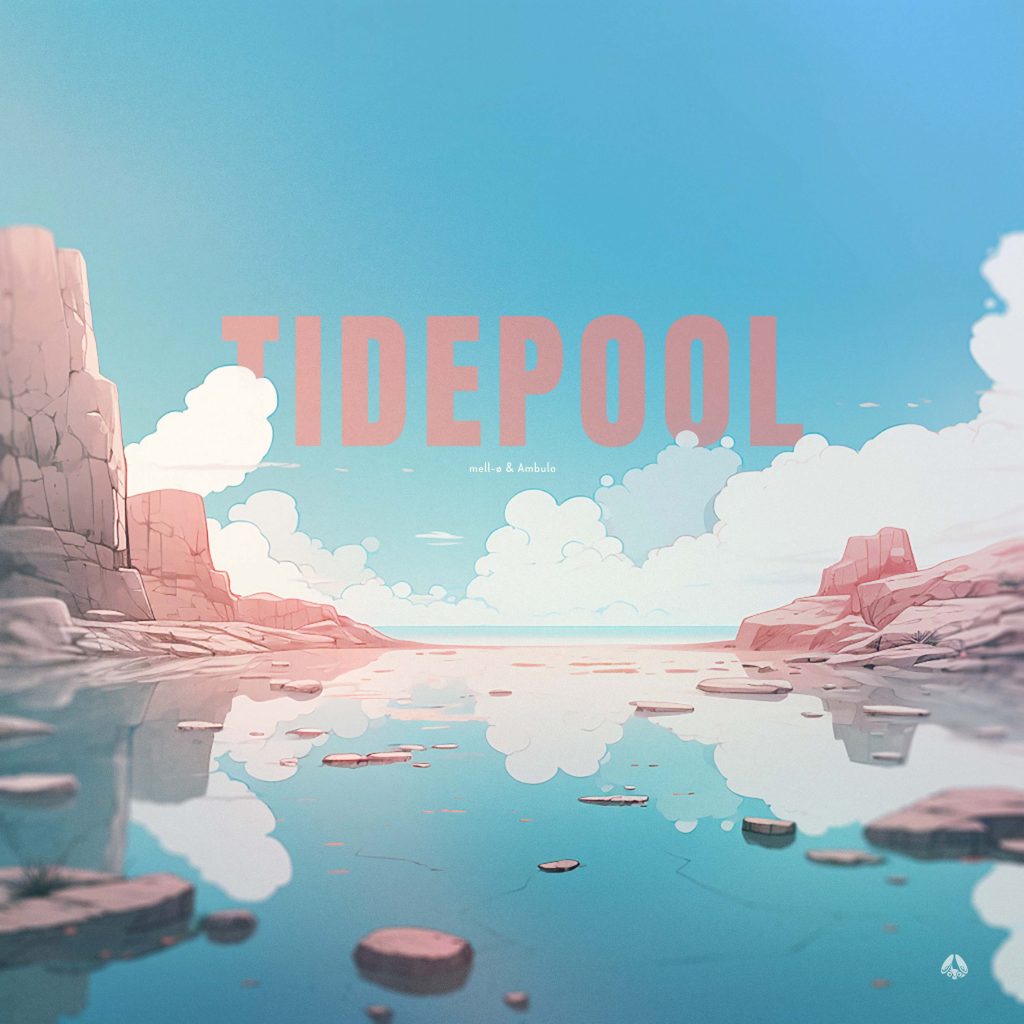 Tidepool - Stereofox Label