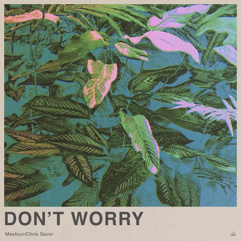 Don't Worry - Stereofox Label