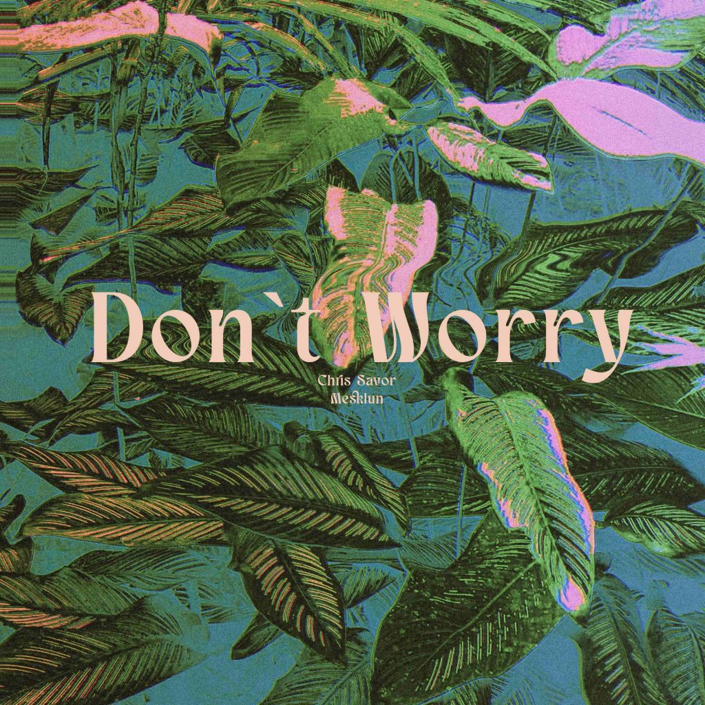 Don't Worry - Stereofox Label