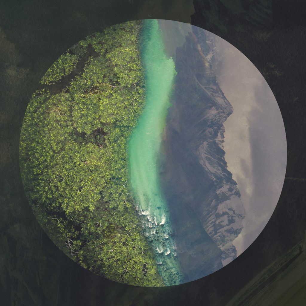 Canopy - Stereofox Label