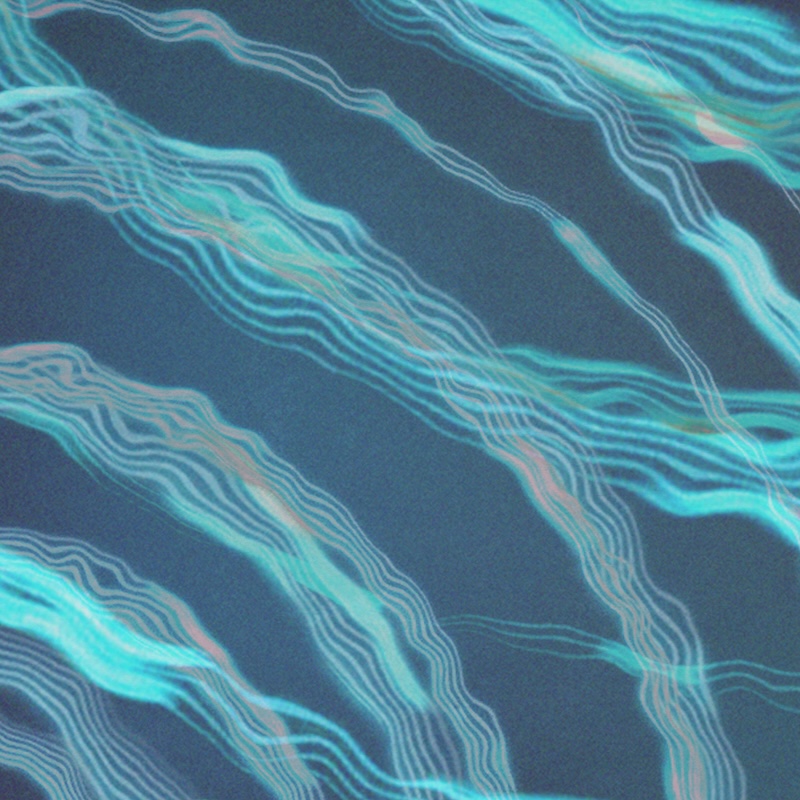 Waves - Stereofox Label
