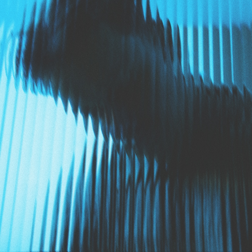 Memory Bloom - Stereofox Label