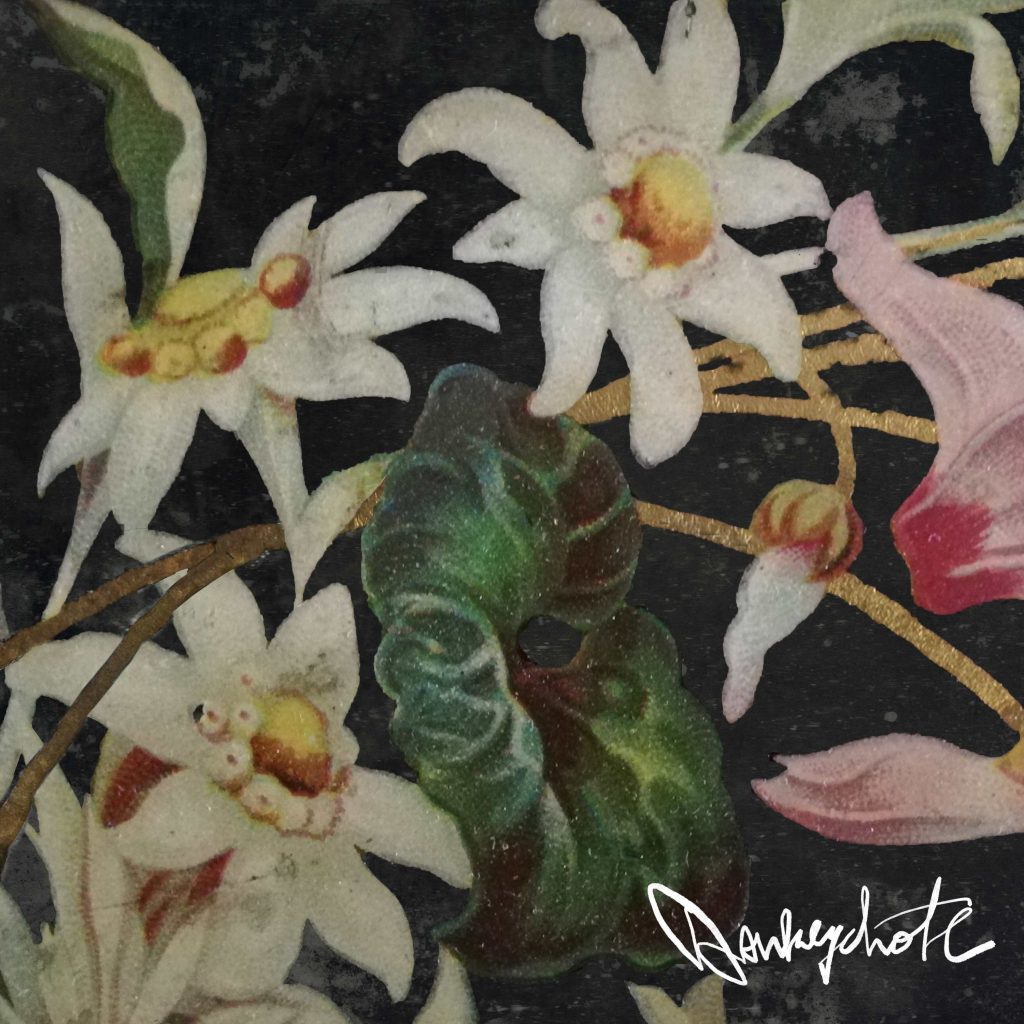 Antidote - Stereofox Label